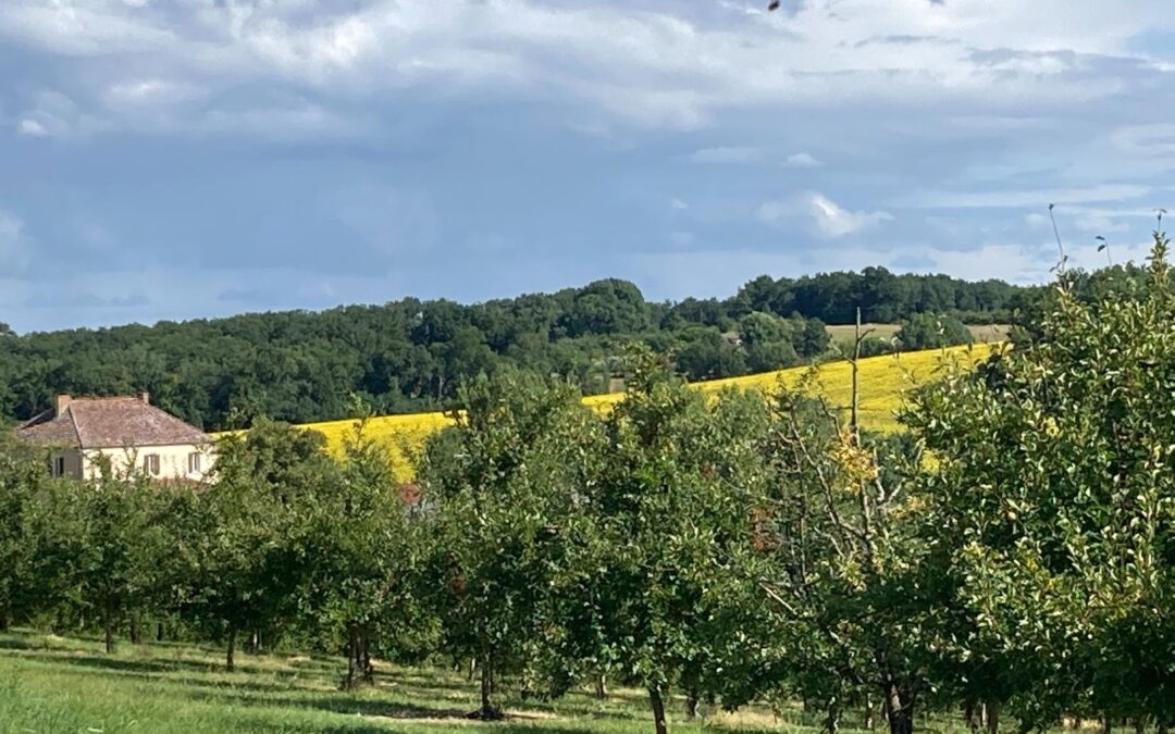 Pourquoi adopter une politique de droit aux vacances contribue aux engagements de l’ISO 26 000 ?