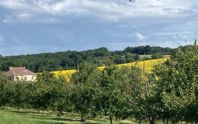 Pourquoi adopter une politique de droit aux vacances contribue aux engagements de l’ISO 26 000 ?