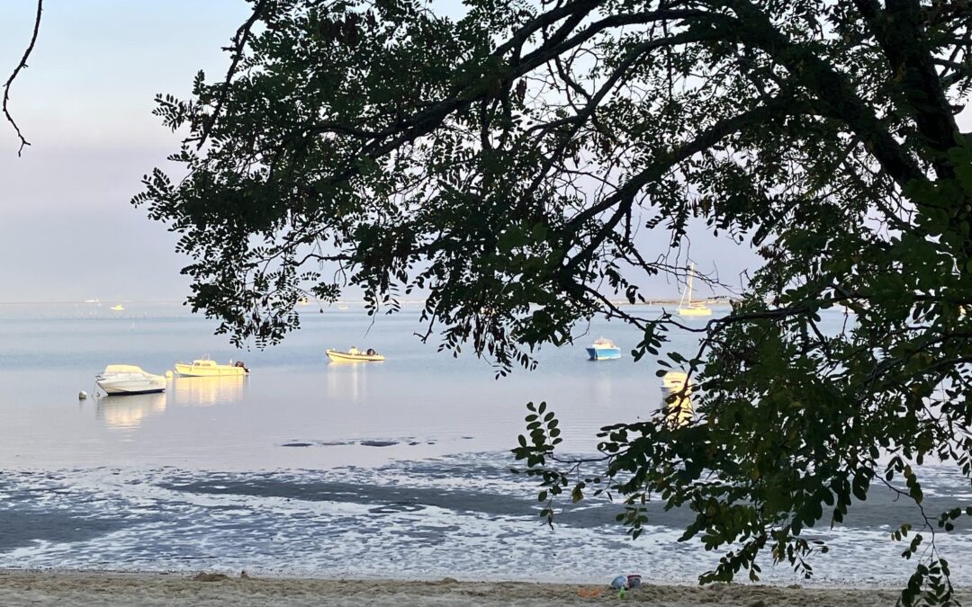 Pourquoi le droit aux vacances répond au développement de la marque employeur ?