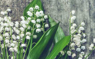 Le travail en mutation : comment le droit aux vacances peut devenir un levier de transformation sociale ?