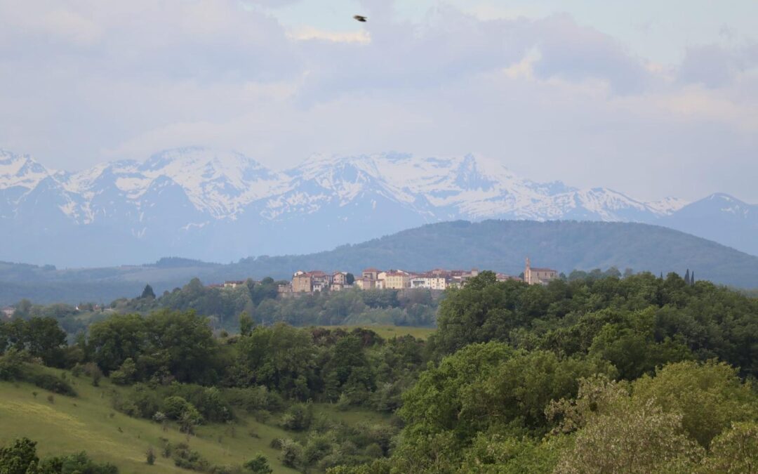 Vacances responsables : un enjeu stratégique pour les CSE et la RSE