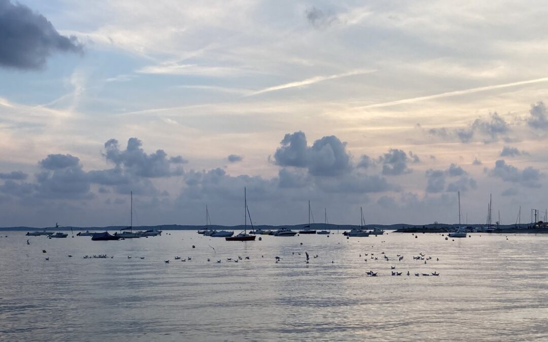 Vacances et répit des aidants : comment les entreprises peuvent-elles agir ?